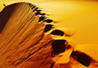 Footprints on sand dune