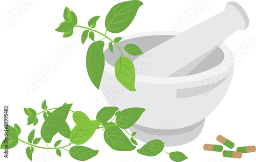 Vektor: herbal medicine herbal medicine