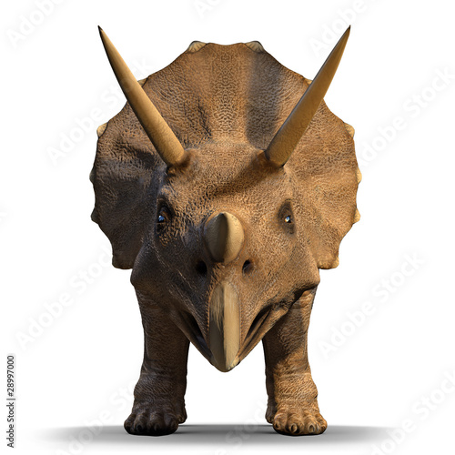 Illustration: 3d Triceratops dinosaur face on 3d Triceratops dinosaur face on