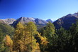 Herbst im Engadin