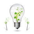 light bulb for eco