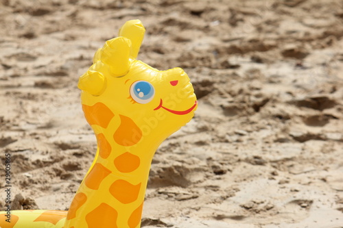 Smiley Giraffe