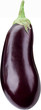 Image of aubergine on white background.