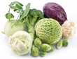 Collection of different varieties of cabbage.