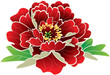 Red peony -vector