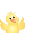 duckling