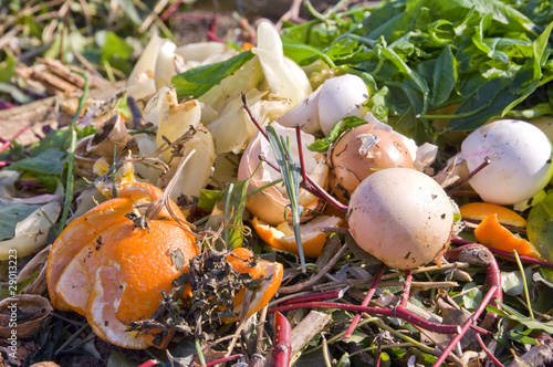 Foto: Domestic compost Domestic compost