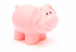 pink pig