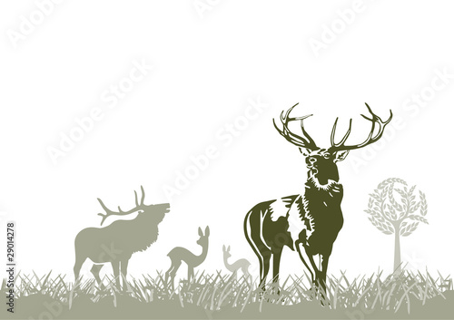 Vektor: Wild im Wald Wild im Wald
