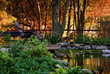Residential landscaped garden