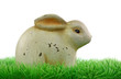 Easter rabbit and green grass