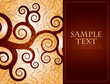 Elegant vintage cover
