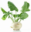 Cabbage kohlrabi on a white background