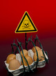 Dioxinskandal