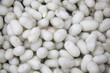 Silkworm cocoons Silkworm cocoons