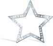 Silver star