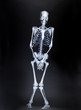 Foto: Airport X-Ray Airport X-Ray