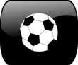 button with soccer ball - vector button with soccer ball - vector