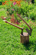 Ancient axes are thrust in a wooden stub