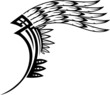 Wings.