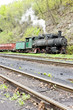 steam freight train, delivery point in Oskova, Bosnia and Herceg