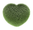 fluffy warm heart green