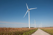 Wind turbines and gravel road