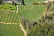 Vineyard in Tuscany in spring, Italy Vineyard in Tuscany in spring, Italy