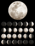 Lunar Phases - Fine Art prints