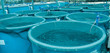 Agriculture aquaculture farm Agriculture aquaculture farm