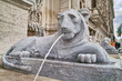 Lions in the Rome's Grand Moses Fountain Lions in the Rome's Grand Moses Fountain