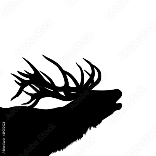Vektor: Hirsch Hirsch