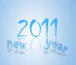 new year 2011