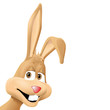 bunny jpeg bunny jpeg