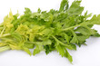 Céleri branche (Apium graveolens L.) Céleri branche (Apium graveolens L.)