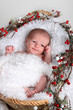 Holiday Baby