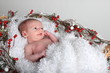 Holiday Baby