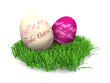 Zwei Ostereier im Gras - Frohe Ostern - 02