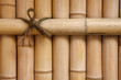 Bamboo Fence