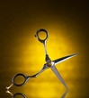 scissors