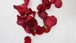 Rose petals make one big heart