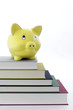 Sparschwein auf Bücherstapel