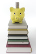 Sparschwein auf Bücherstapel