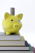 Sparschwein auf Bücherstapel