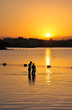 Diving. Egypt.