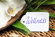 Wellness