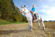 Reiten