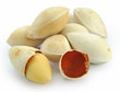 Isolated macro image of Ginkgo nuts