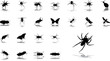 Big set icons - 24. Insects