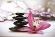 Spa rozgrzane kamieniami – domowy luksus na co dzień
